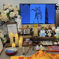 宠物家长客户见证
