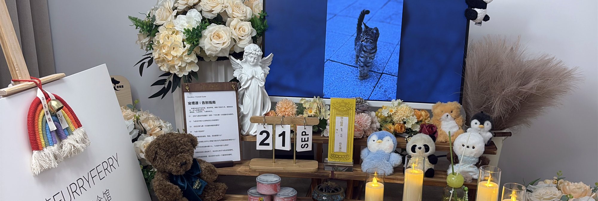 宠摆渡芜湖宠物殡葬门店告别厅实景