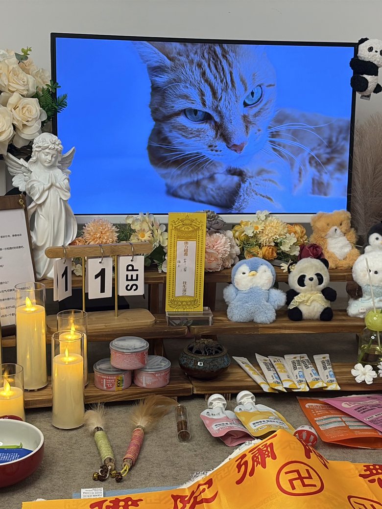 芜湖宠物殡葬门店告别厅环境